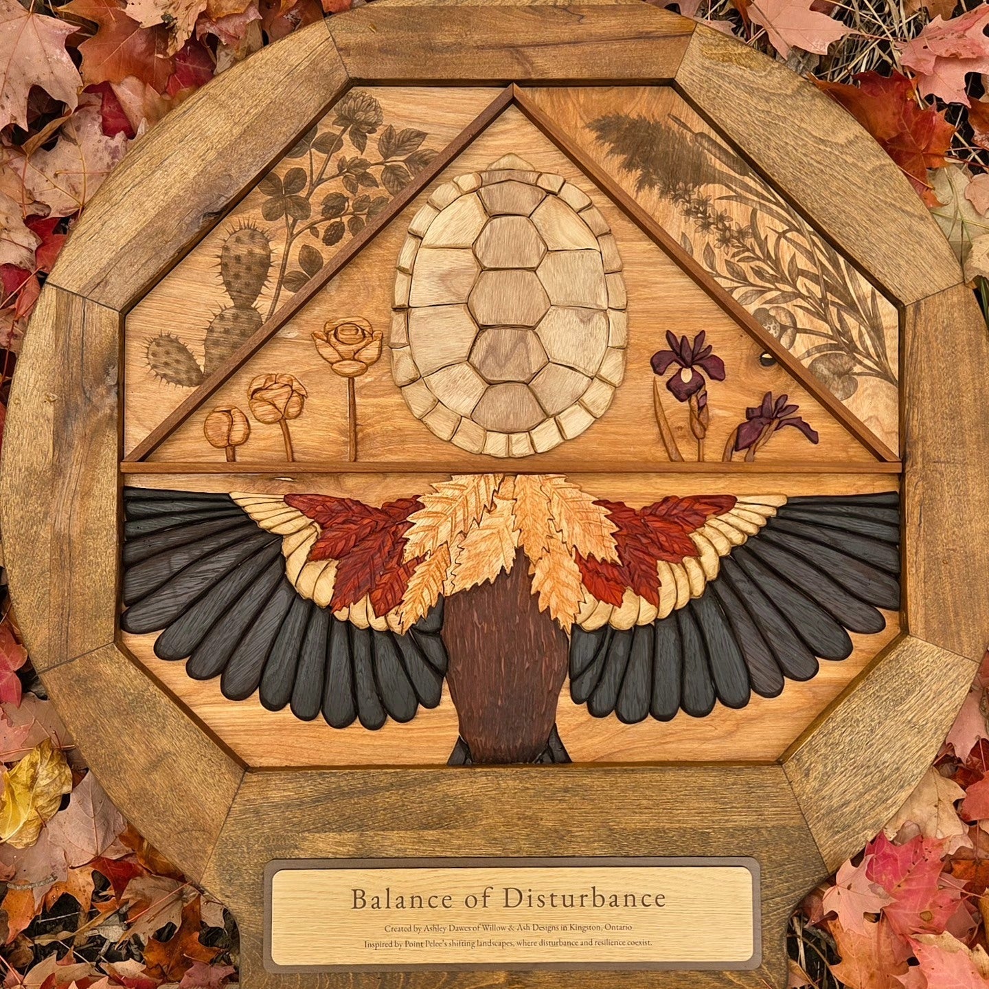 Balance of Disturbance